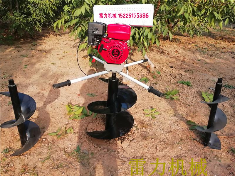 1604482738155852.jpg 20191191434337332492.jpg